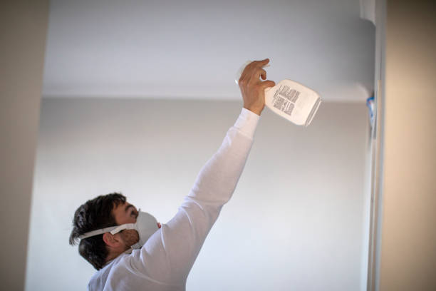 Certified Mold Removal in East Honolulu, HI