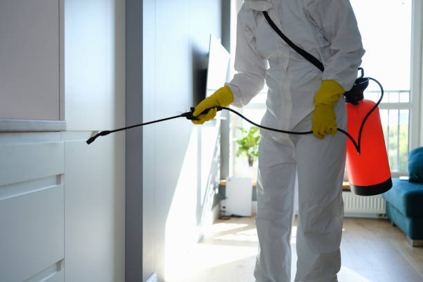 Best Certified Mold Removal  in East Honolulu, HI